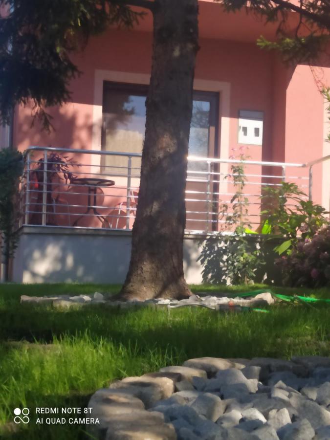 Studio 2 Golubac Bagian luar foto