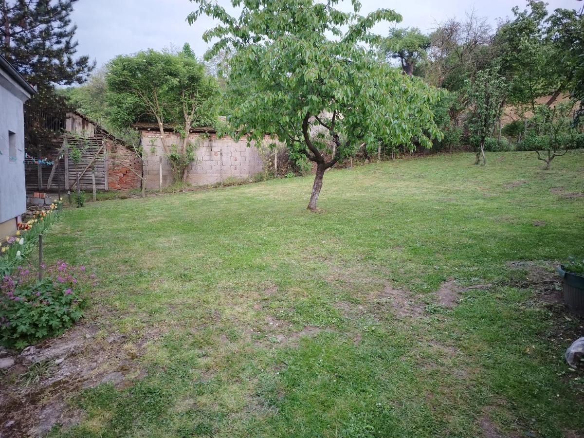 Studio 2 Golubac Bagian luar foto