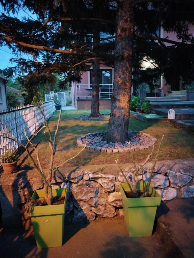 Studio 2 Golubac Bagian luar foto
